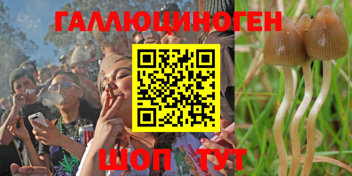 Галлюциногенные грибы Cubensis  Галлюциногенные грибы GOLDEN TEACHER  Шарыпово  наркота  Вход с VPN 